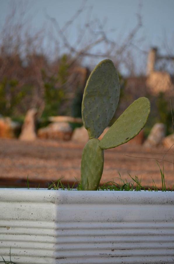 Masseria Poli Country House Conversano Exterior foto